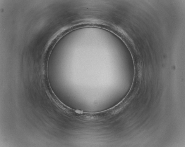 X0000080771318200701021111