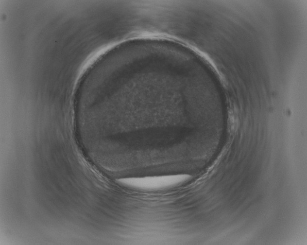 X0000080771319200701021111