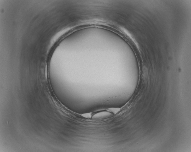 X0000080771320200701021111