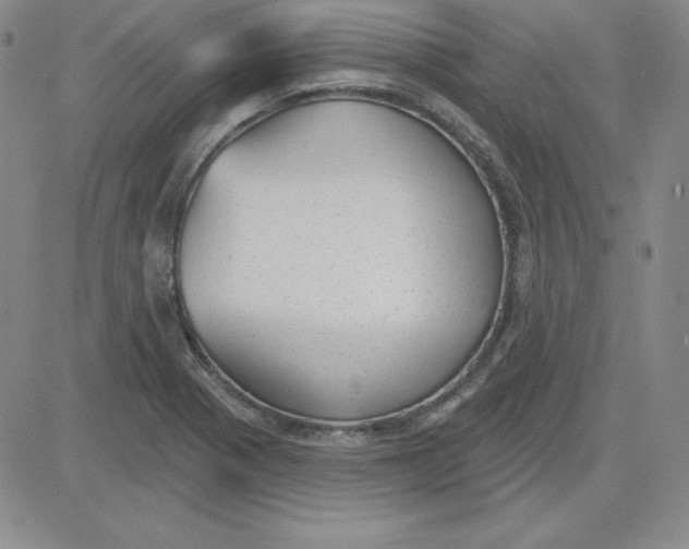 X0000080771321200701021111