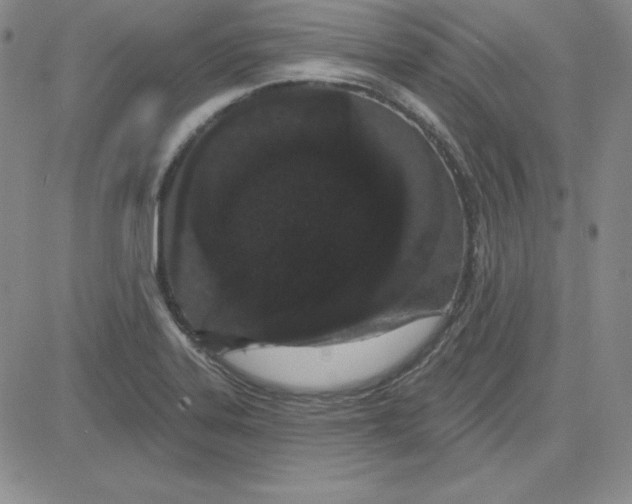 X0000080771323200701021111