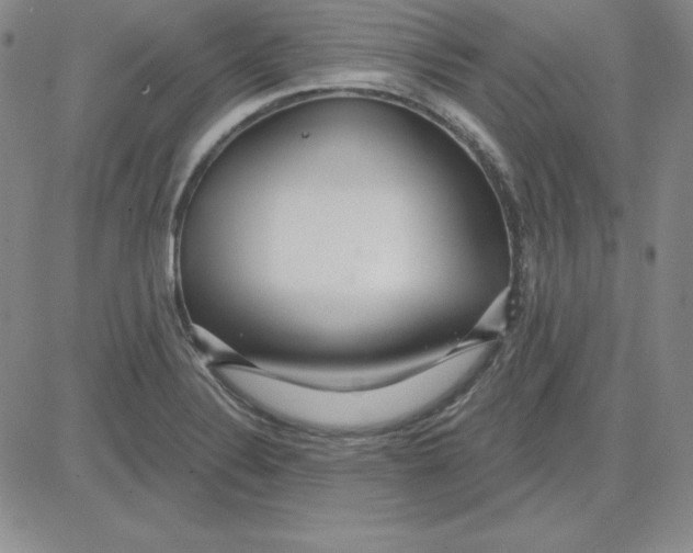 X0000080771324200701021111