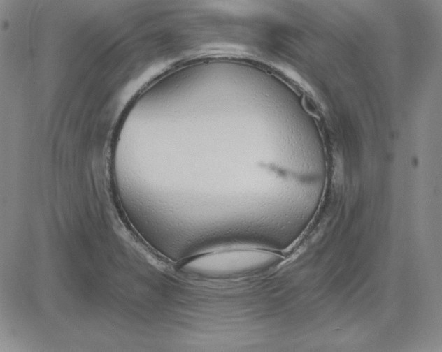 X0000080771325200701021111