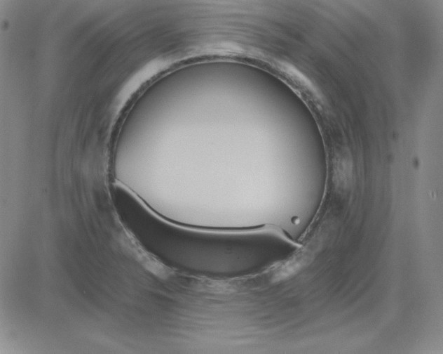 X0000080771326200701021111