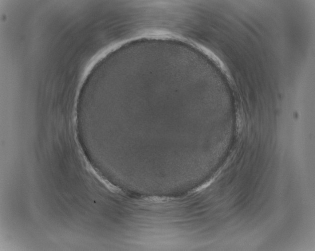 X0000080771327200701021111