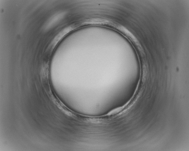 X0000080771329200701021111