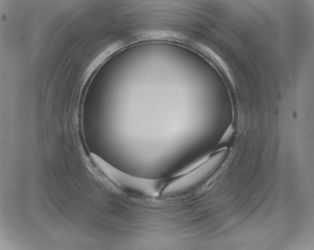 X0000080771330200701021111