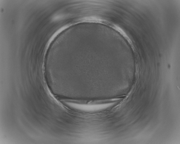 X0000080771331200701021111