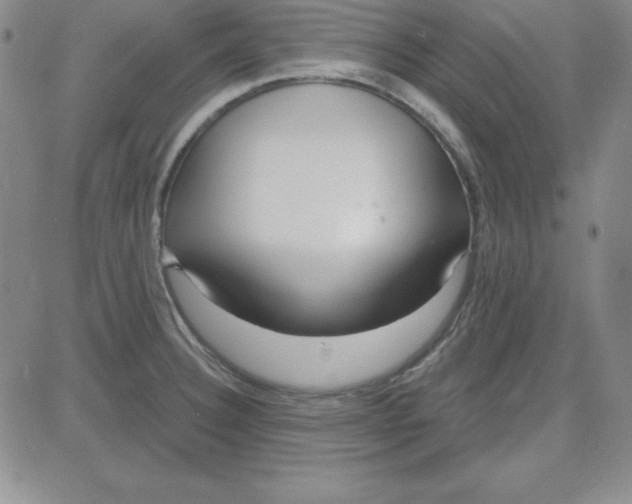 X0000080771332200701021111