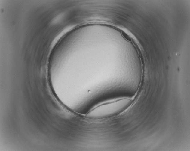 X0000080771333200701021111