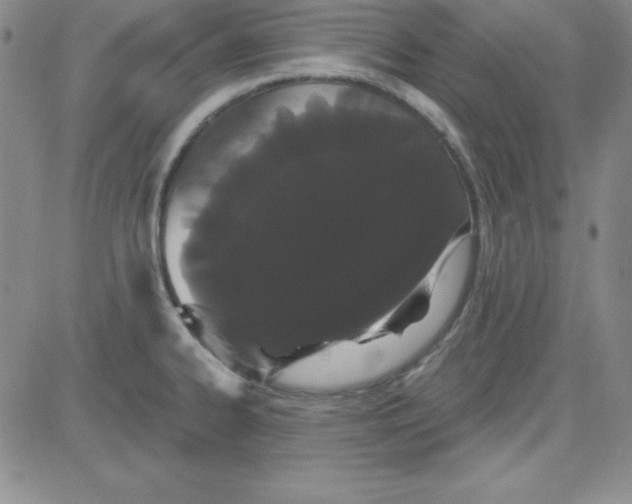 X0000080771334200701021111