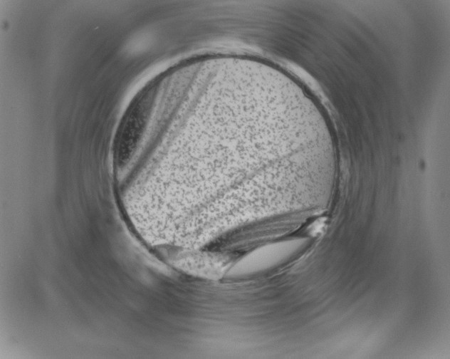 X0000080771335200701021111