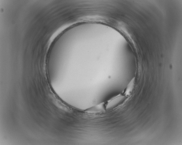 X0000080771336200701021111