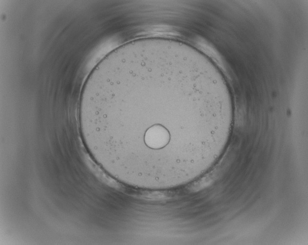 X0000080771338200701021111