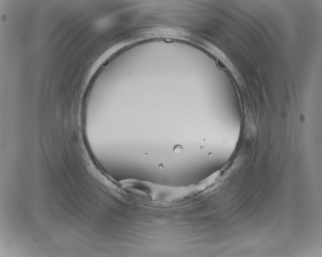 X0000080771339200701021111