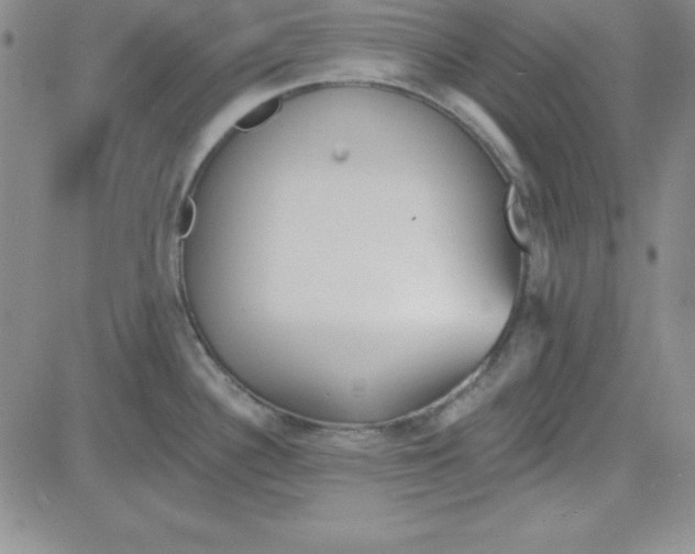 X0000080771340200701021112