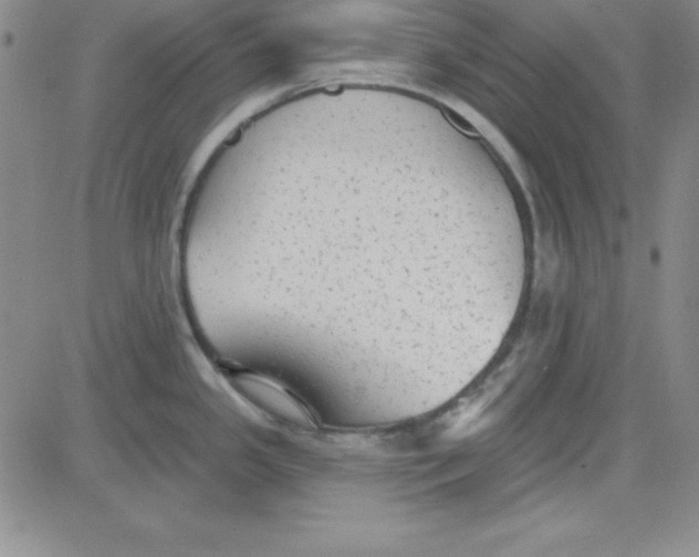 X0000080771341200701021112