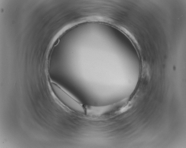 X0000080771342200701021112