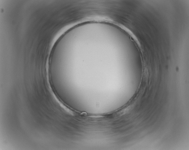 X0000080771343200701021112