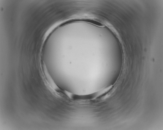 X0000080771344200701021112