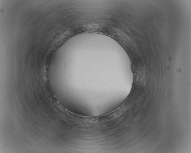 X0000080771346200701021111