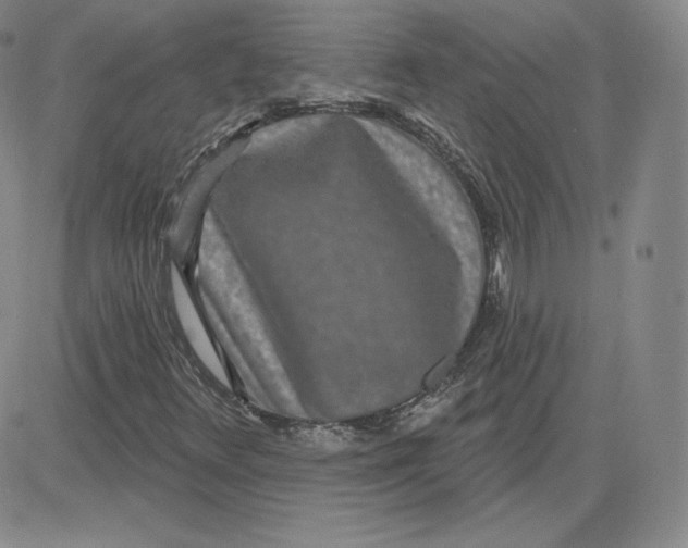 X0000080771348200701021111