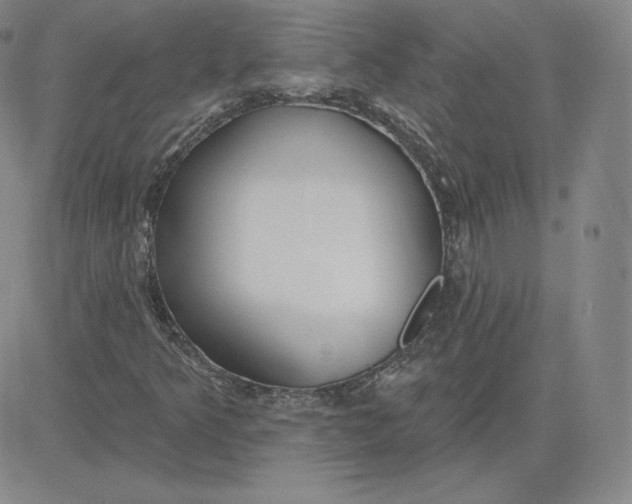 X0000080771349200701021111