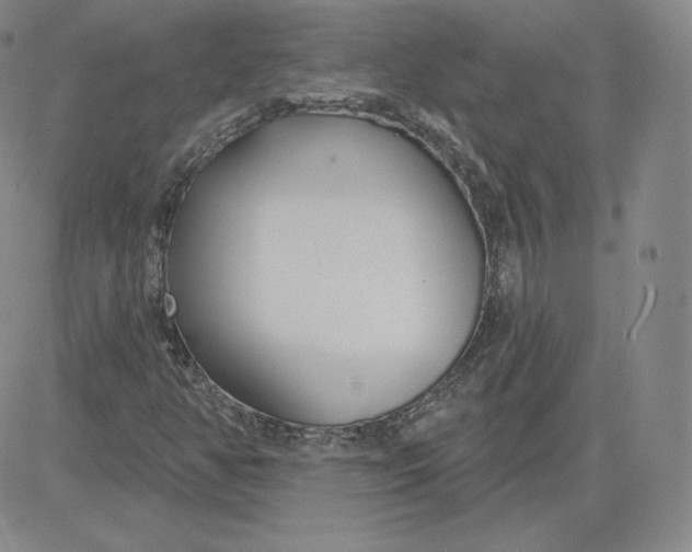 X0000080771350200701021111