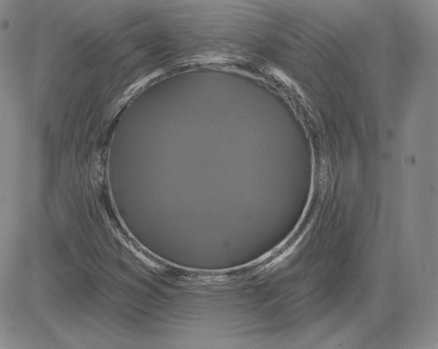 X0000080771353200701021111