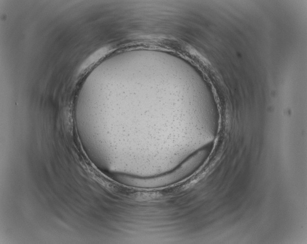 X0000080771354200701021111