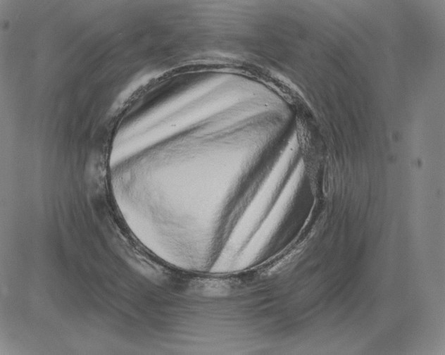 X0000080771355200701021111