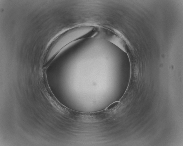 X0000080771356200701021111