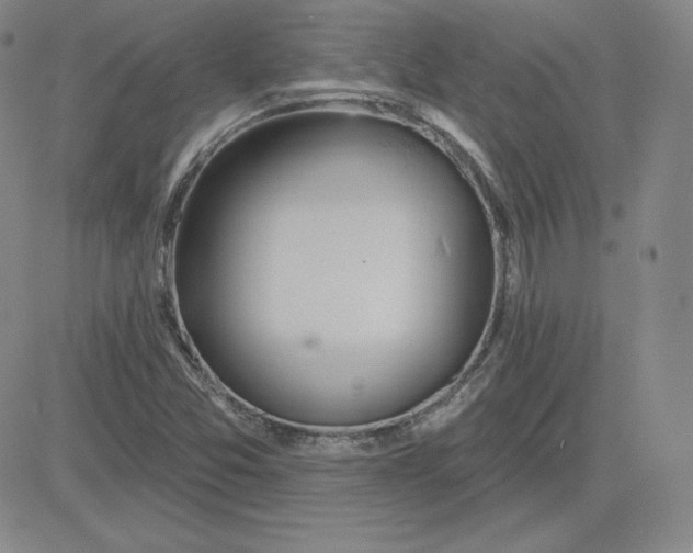 X0000080771357200701021111