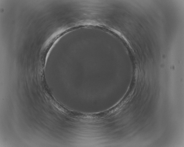 X0000080771359200701021111