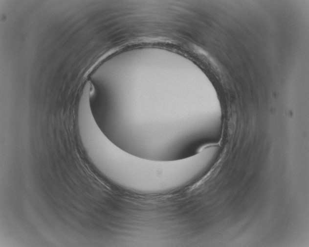 X0000080771361200701021111