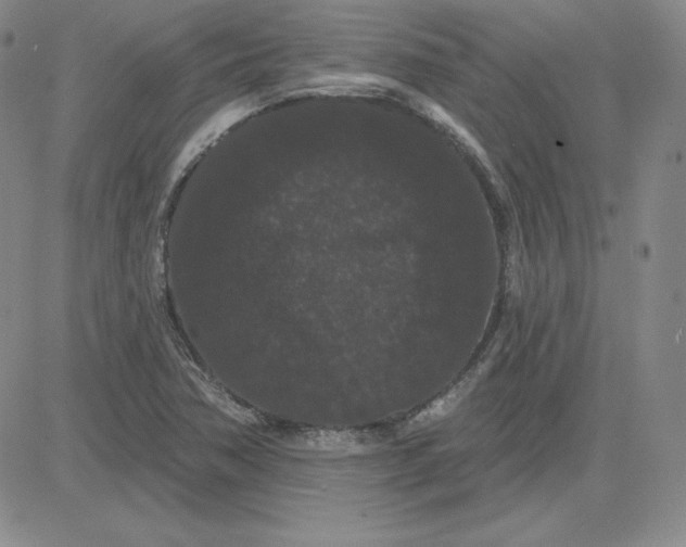 X0000080771362200701021111