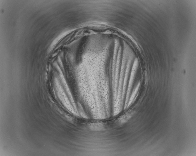 X0000080771363200701021111