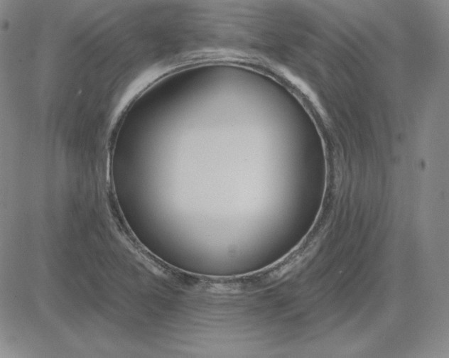 X0000080771365200701021110