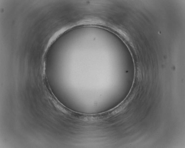 X0000080771366200701021110