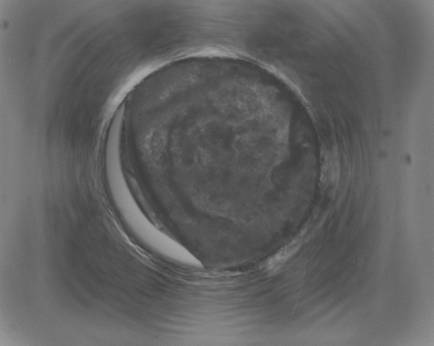 X0000080771367200701021110