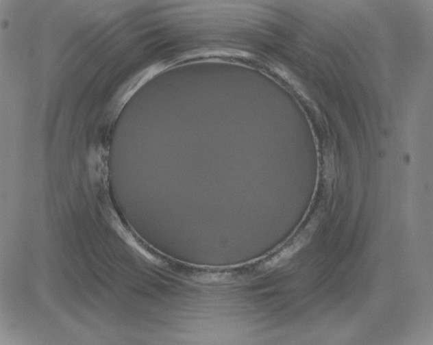 X0000080771369200701021110