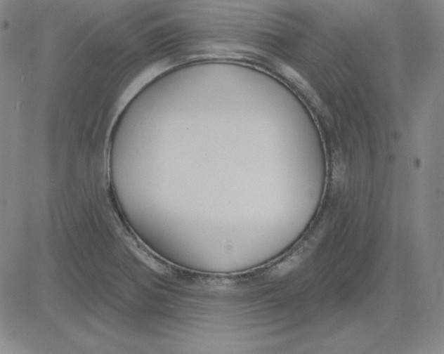 X0000080771370200701021110