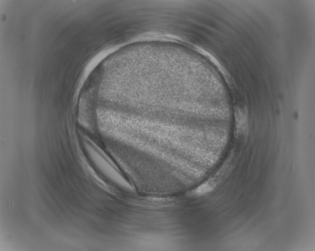 X0000080771371200701021110