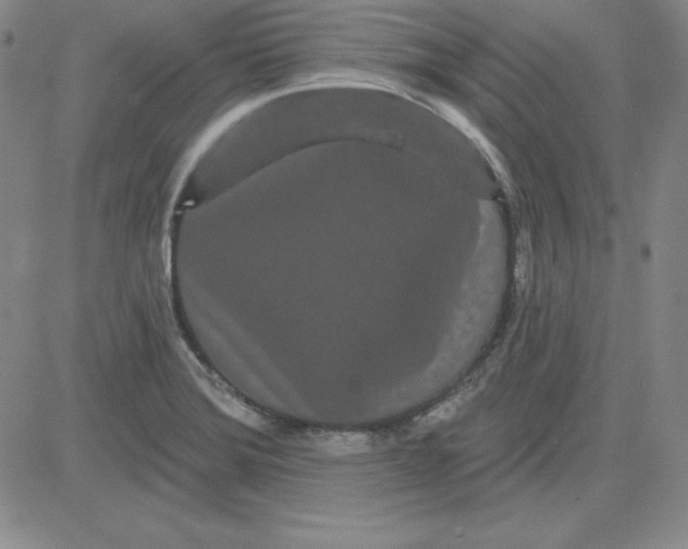 X0000080771372200701021110