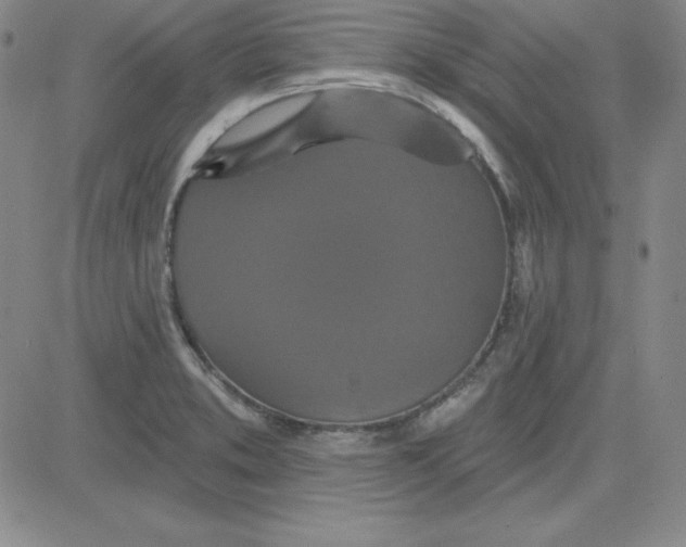 X0000080771373200701021110