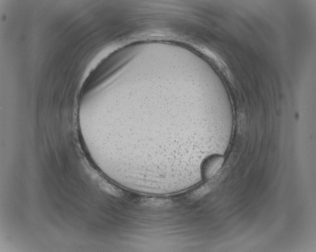 X0000080771374200701021110