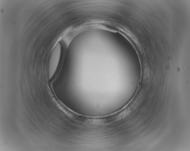 X0000080771377200701021110