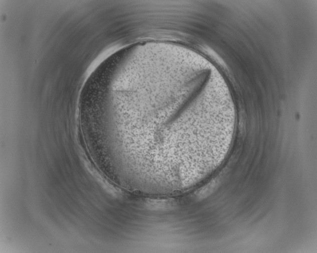 X0000080771378200701021110