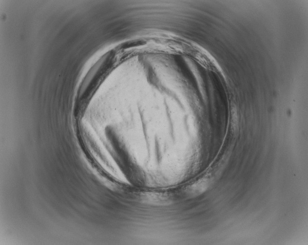 X0000080771379200701021110