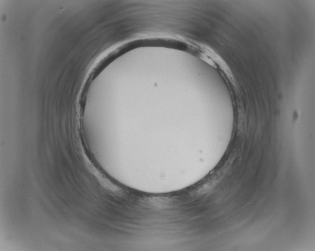 X0000080771380200701021110